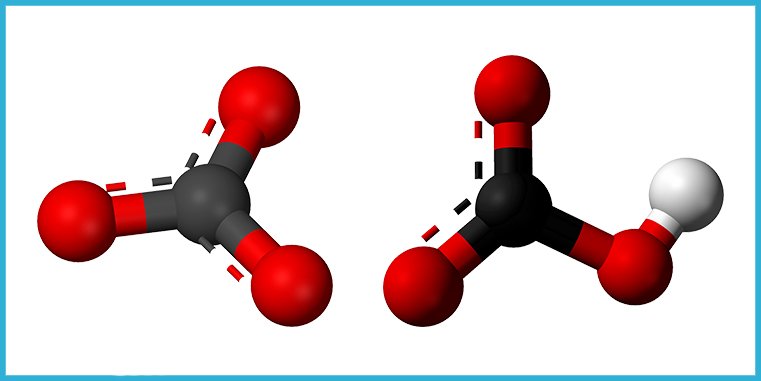 Carbonatos y Bicarbonatos Carbonatos y Bicarbonatos