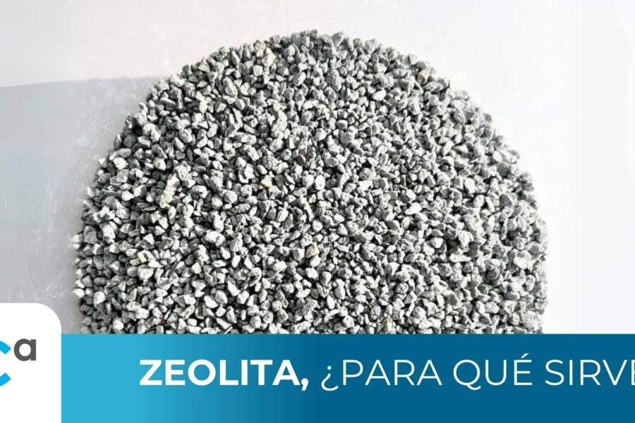 zeolira para que sirve portada